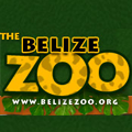 The Belize zoo logo