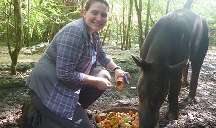 Vet intern and Tapir