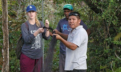 Vet intern with their instructor guiding them with the net