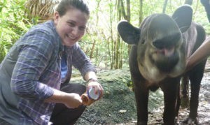 Vet student and a Tapir